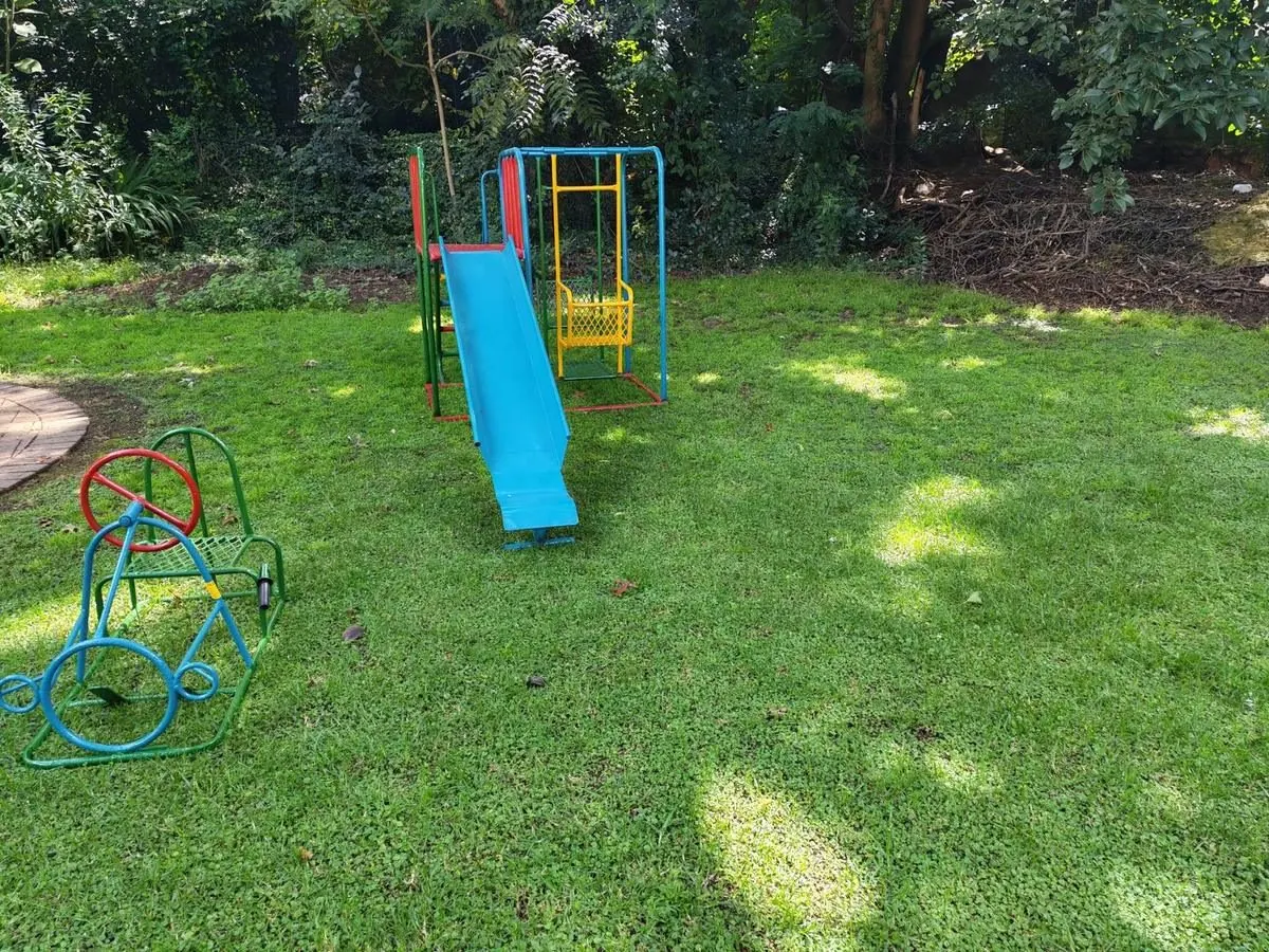 The playground